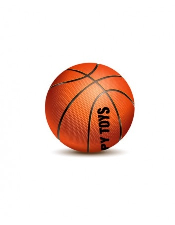 BOLA DE BASQUETE TAMANHO OFICIAL 530G/9241