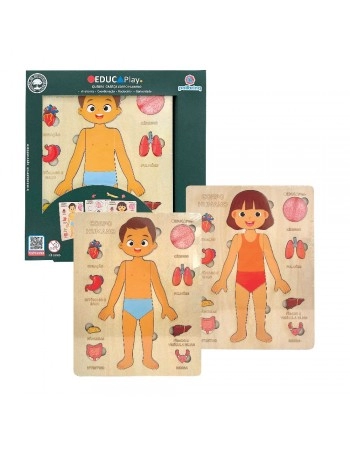 EDUCAPLAY TABULEIRO CORPO HUMANO SORT/BDM49