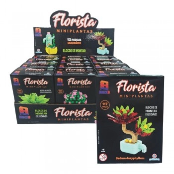 FLORISTA - MINI PLANTAS/BKO13